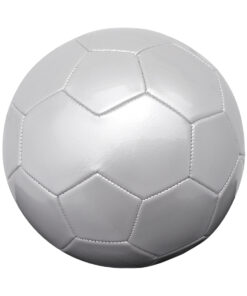 Balón de Fútbol Nº5