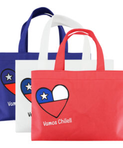 Bolsa TNT Vamos Chile